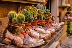 Arranjo criativo de cactos e suculentas em vasos, apoiados sobre tênis reciclados. A decoração rústica destaca tons terrosos e um toque sustentável, unindo natureza e reaproveitamento de materiais de forma charmosa e única.