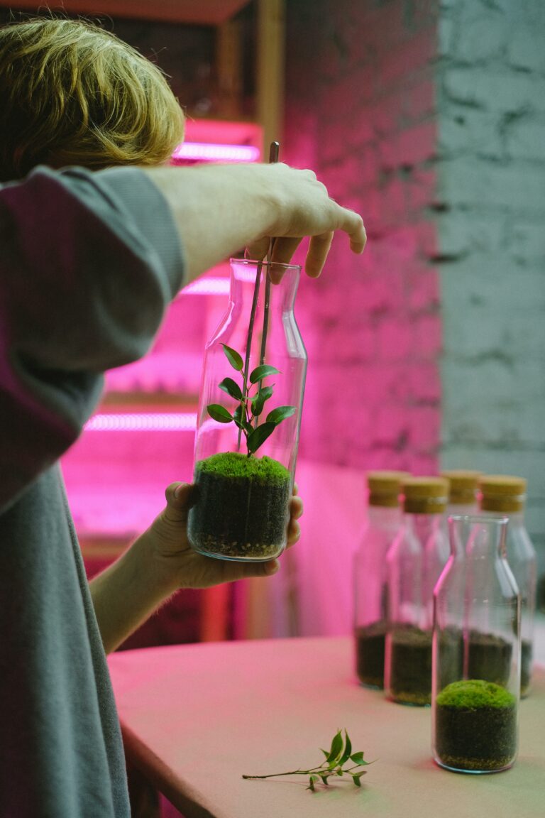 Jardim sustentável com plantas nativas, cobertura orgânica e reaproveitamento de água da chuva.