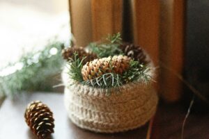 Reutilizando Materiais na sua Casa e Jardim