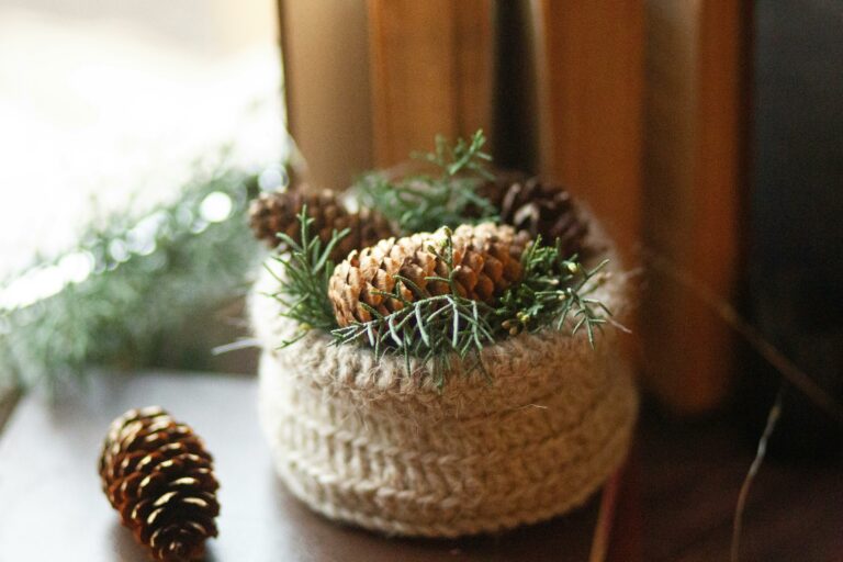 Reutilizando Materiais na sua Casa e Jardim